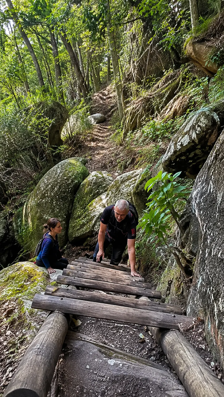 Hikers climbing a steep wooden ladder on a rocky forest trail surrounded by lush vegetation and large boulders in Cape Town.