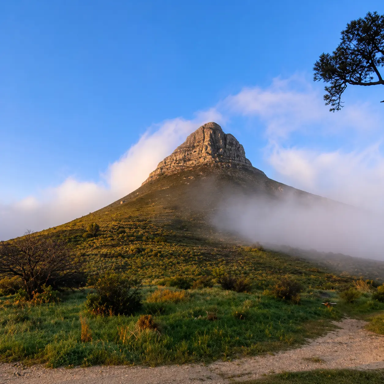 Lion’s Head rising above green mountain slopes as low clouds and mist drift around the peak in Cape Town.