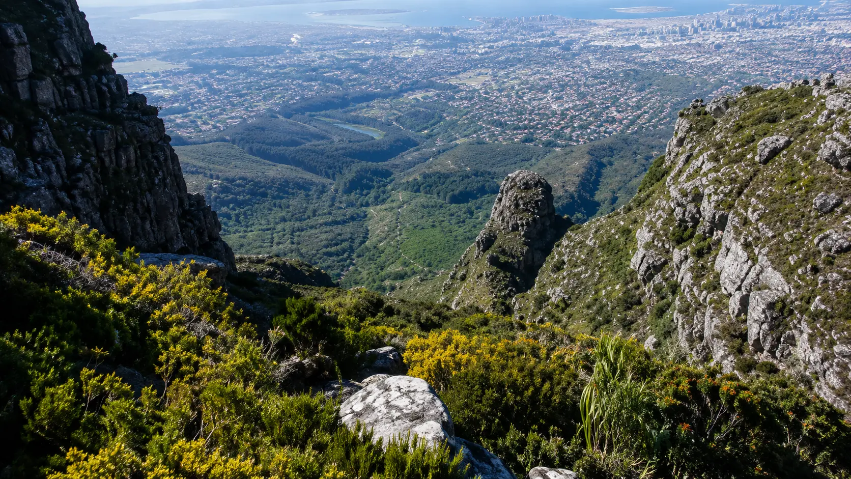 Panoramic view from Table Mountain across rugged cliffs, indigenous fynbos, a green valley and the Cape Town landscape below.