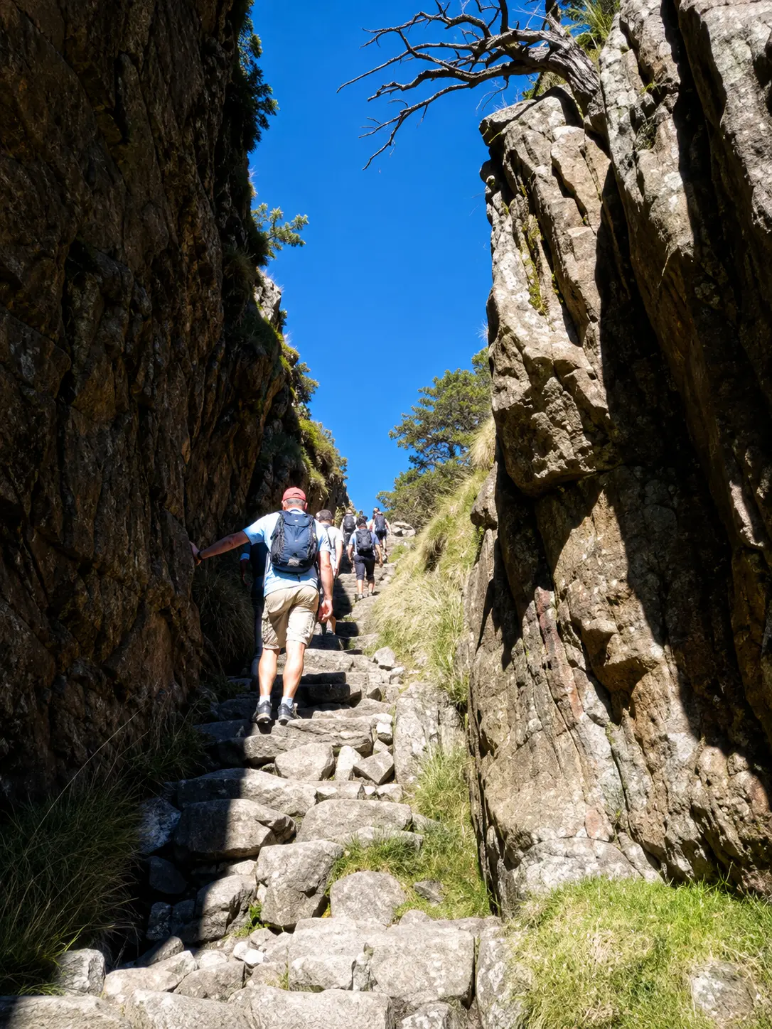 Group of hikers climbing stone steps through a narrow rocky gorge on Table Mountain in Cape Town.