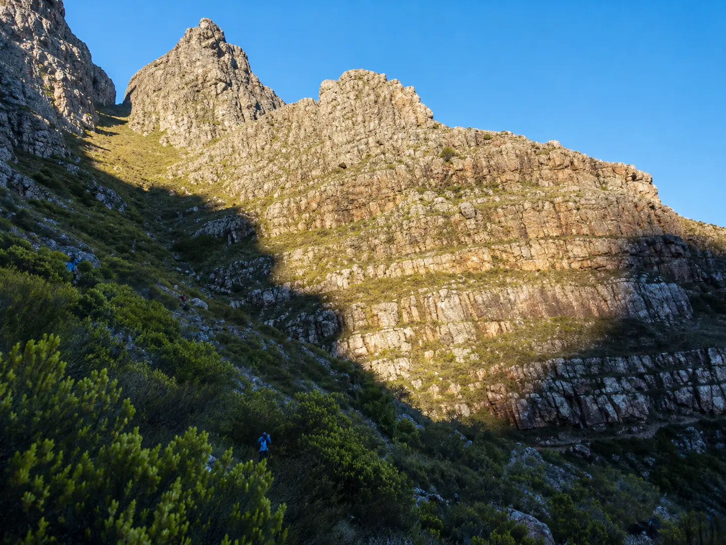 Rugged Table Mountain cliffs rising above indigenous fynbos along a hiking trail in Cape Town.